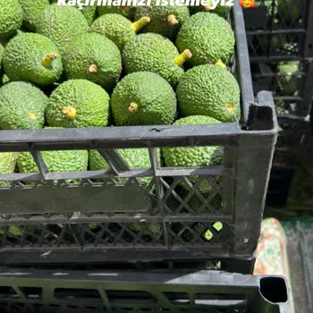 @ferideninbahcesinden Sipariş Edilen Ürünle Gelen Ürün Farklı Ve Çözüm Sunulmadı