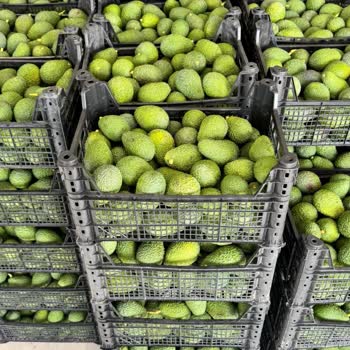 @ferideninbahcesinden Sipariş Edilen Ürünle Gelen Ürün Farklı Ve Çözüm Sunulmadı