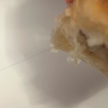 Harras Boşnak Mantısı İçinden Çıkan Saçla Yaşadığımız Hijyen Şoku