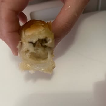 Harras Boşnak Mantısı İçinden Çıkan Saçla Yaşadığımız Hijyen Şoku