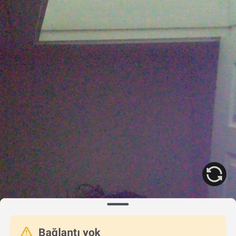 Bybit TR Hesabında Para Aktarma Sonrası Hesap Doğrulama Ve Destek Sorunu