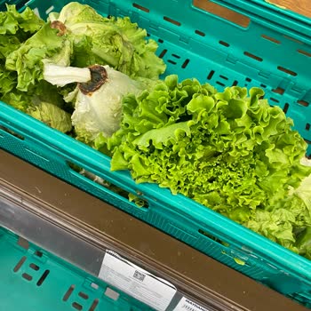 Şok Markette Sürekli Tarihi Geçmiş Donuk Ürün Sorunu