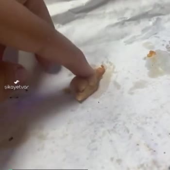 Maydonoz Döner Dürümden Çiğ Tavuk Çıktı