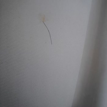 Algida Dondurma Paketinden Saç Çıkması Şok Etti