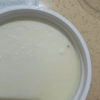 Tarihi Geçmemiş Yoğurt Küflü Çıktı, Şube Düzeni Ve Ürün Kalitesi Sorunu