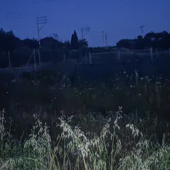 Çeşme Musalla'da Aydınlatma Eksikliği Mağduriyeti