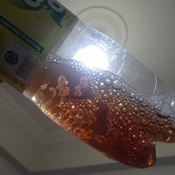 Didi Soğuk Çayda Tekrar Eden Küf Benzeri Yapı Ve Hijyen Endişesi