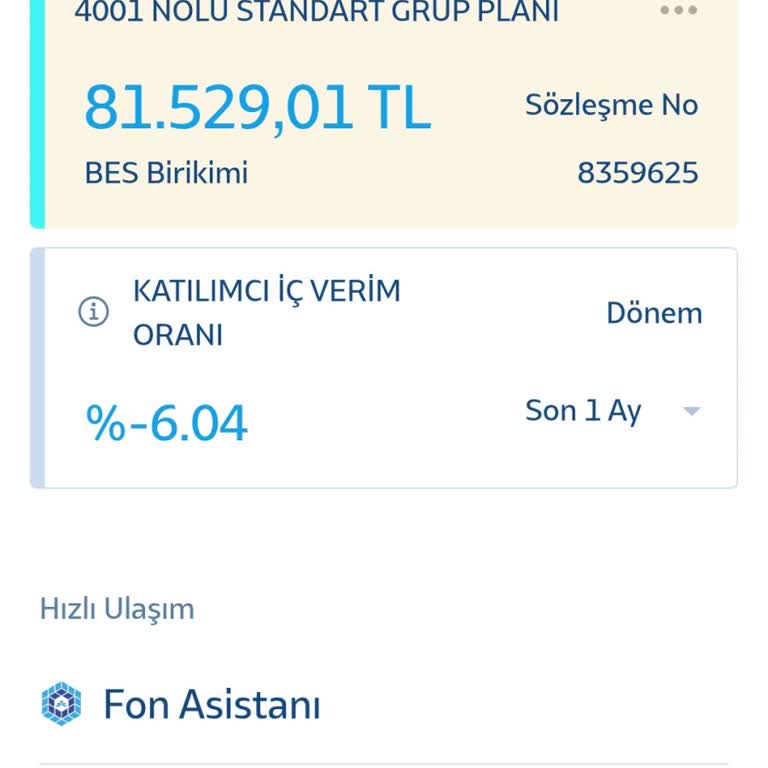 BES Altın Fonunda Ani Değer Kaybı Ve Yetersiz Yönetim