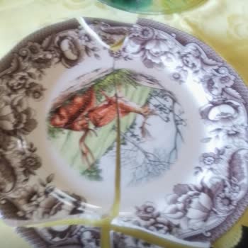 Kırık Servis Tabağına Çözüm Sunmayan Karaca'dan Hayal Kırıklığı