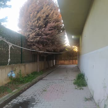 Bir Haftadır Kopuk İnternet, Hiçbir Geri Dönüş Yok!