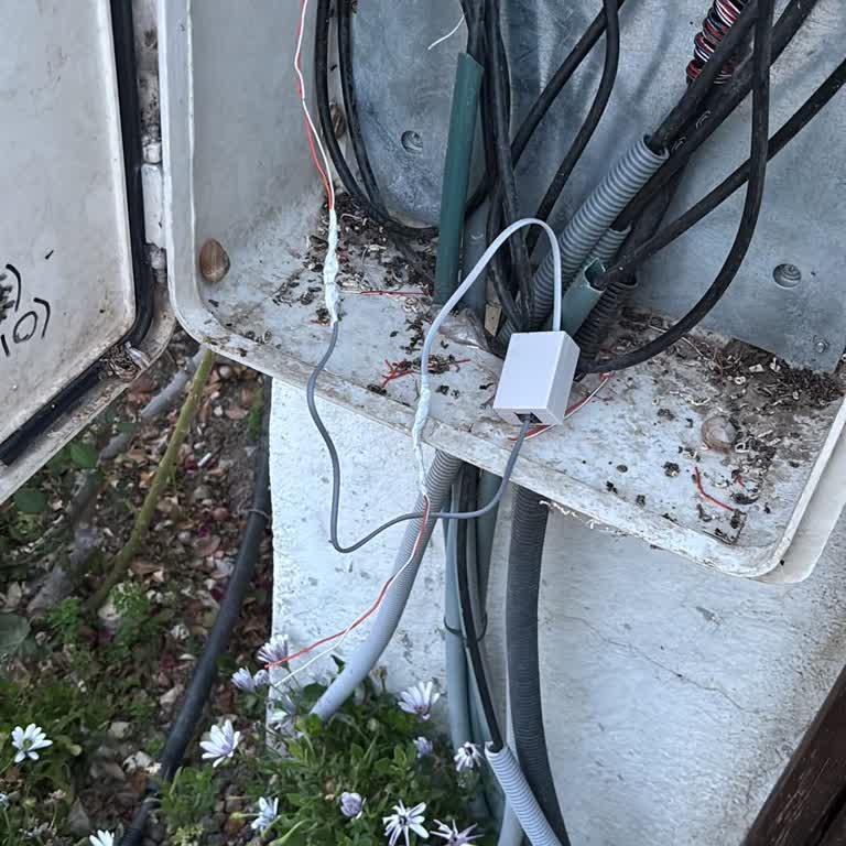 Kurulumdan Sonra Kablo Çıkarıldı, 10 Gündür İnternet Bağlantısı Sağlanmıyor Ve Bilgi Verilmiyor