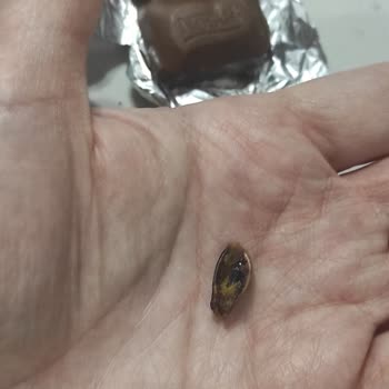 Çikolatanın İçinden Çıkan Antep Fıstığı Kabuğu Endişesi