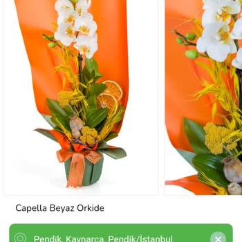 Taze Çiçek | Tazecicek.com Anneler Günü İçin Sipariş Verdiğim Çiçek Beklentimi Karşılamadı!