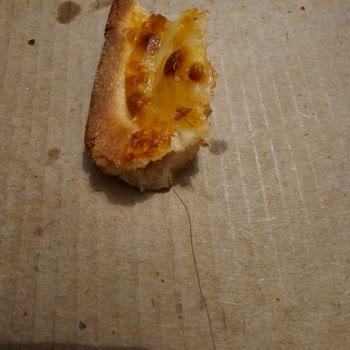 Pizza Siparişimde Kıl Çıkması Ve Sağlık Endişesi