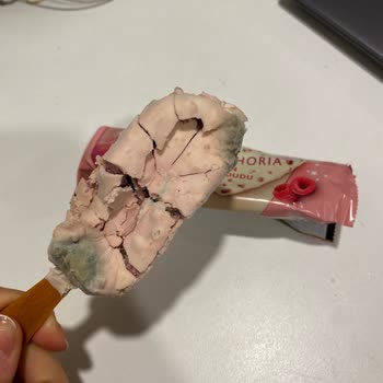 Migros’tan Aldığım Magnum Mini Dondurmalar Küflü Ve Kötü Kokulu Çıktı