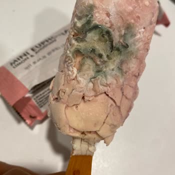 Migros’tan Aldığım Magnum Mini Dondurmalar Küflü Ve Kötü Kokulu Çıktı