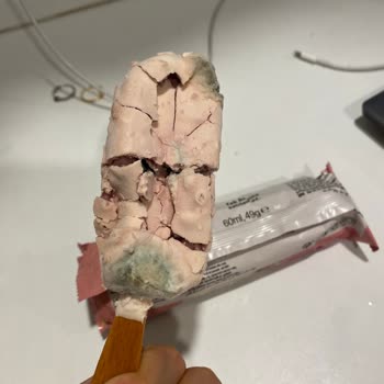 Migros’tan Aldığım Magnum Mini Dondurmalar Küflü Ve Kötü Kokulu Çıktı