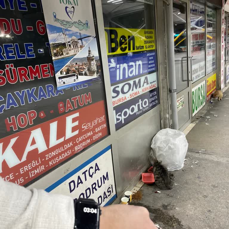 Kütahyalılar Turizm Otobüs Gecikmesi Ve İlgisizlik Nedeniyle Mağduriyet Yaşadım!