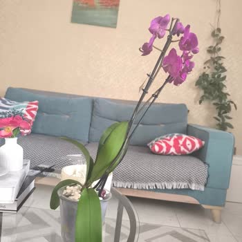 Anneler Günü’nde Hayal Kırıklığı: Siparişim Eksik, İlgisiz Ve Sorumsuz Hizmet!