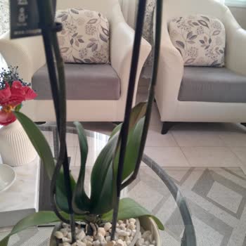 Anneler Günü’nde Hayal Kırıklığı: Siparişim Eksik, İlgisiz Ve Sorumsuz Hizmet!