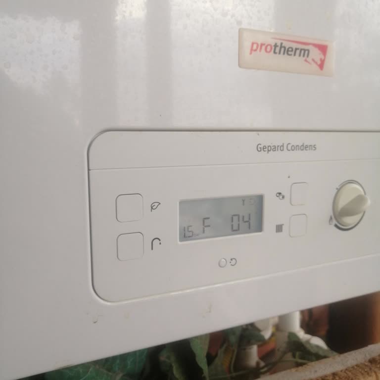 Protherm Kombi İle Bitmeyen Sorunlar!