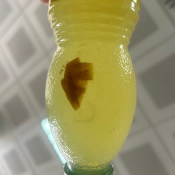 Limonata Ürününde Yabancı Madde Hakkında Şikayet