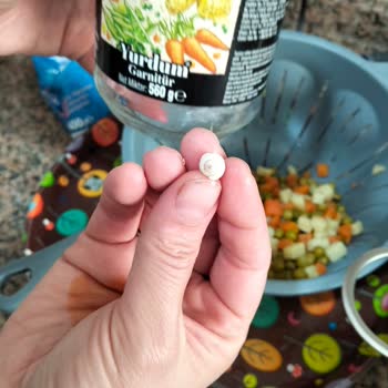 Garnitürden Salyangoz Kabuğu Çıktı, Sağlığımız Tehlikede!