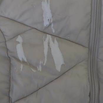 Mavi Montta Tüy Toplanması Ve Etiket Sorunu Çözülmüyor!