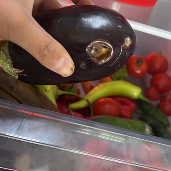 Yeni Alınan Buzdolabının Sebzeleri Çürütmesi Ve Değişim Sorunu