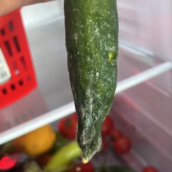 Yeni Alınan Buzdolabının Sebzeleri Çürütmesi Ve Değişim Sorunu