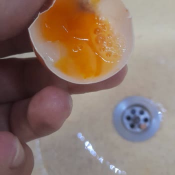 Migros Sanal Market'ten Aldığım Yumurtalar Bozuk Çıktı, Güvenim Sarsıldı