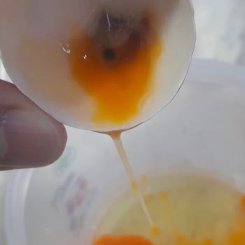 Migros Sanal Market'ten Aldığım Yumurtalar Bozuk Çıktı, Güvenim Sarsıldı