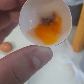 Migros Sanal Market'ten Aldığım Yumurtalar Bozuk Çıktı, Güvenim Sarsıldı