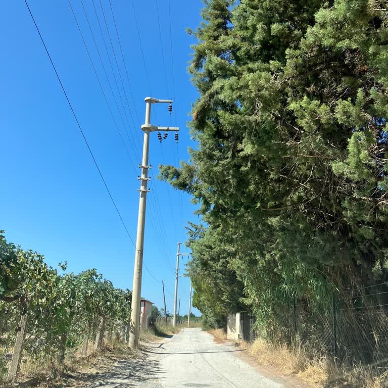 Ağaçların Elektrik Tellerine Yaklaşması Sorunu Aylarca Çözülmedi