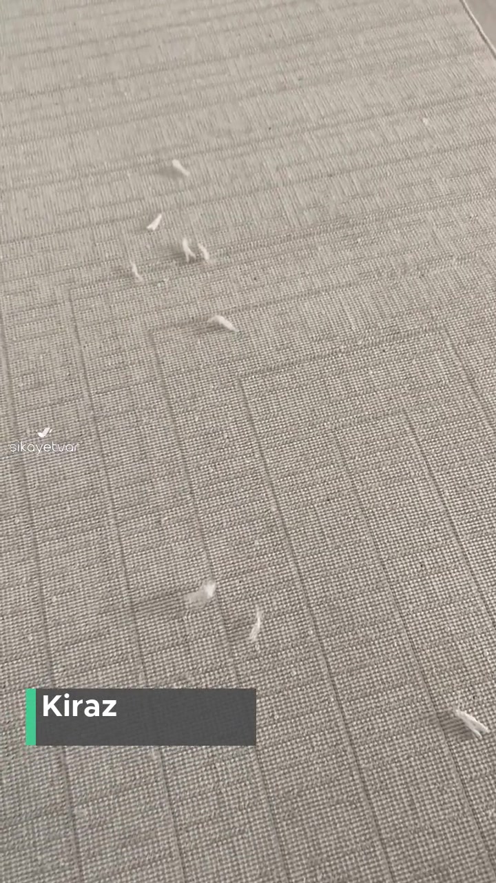 Exclusive Halı Ümraniye'den Alınan Halının Hali! videonun kapak resmi