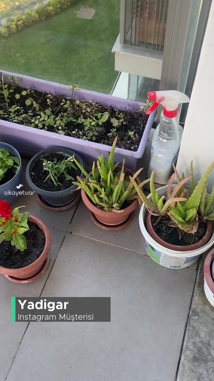 Instagram'da Paylaşmak İstediğim Videom, Ama Instagram'ımı Kapattınız! videonun kapak resmi