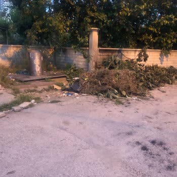Seyhan Belediyesi'nin Yetersiz Temizlik Hizmeti Ve İletişim Sorunları