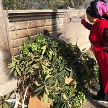 Seyhan Belediyesi'nin Yetersiz Temizlik Hizmeti Ve İletişim Sorunları