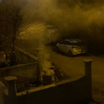 Seyhan Belediyesi'nin Yetersiz Temizlik Hizmeti Ve İletişim Sorunları