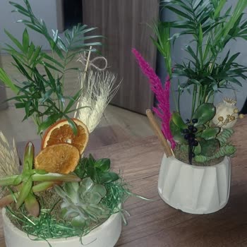 Beklentileri Karşılamayan Ürün Ve Yetersiz Müşteri Desteği