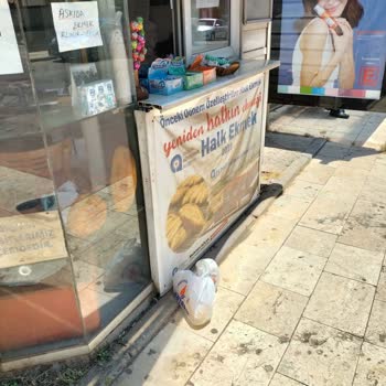 Yemek Dağıtımında Süregelen Saygısızlık Ve Dikkatsizlik