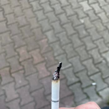 Chesterfield Navy Blue Sigara Paketlerinde Sıkça Odun Parçası Sorunu