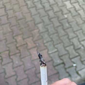 Chesterfield Navy Blue Sigara Paketlerinde Sıkça Odun Parçası Sorunu