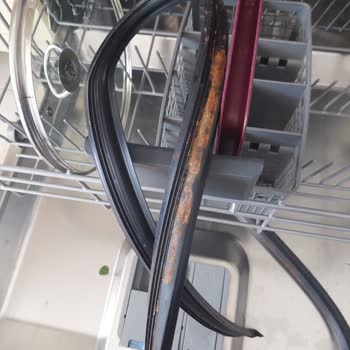 Arçelik Bulaşık Makinesi Küf Sorunu Sağlığımı Tehdit Ediyor