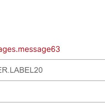 VFS'nin Randevu Sistemi Sürekli Hata Veriyor Ve Kullanılamaz Durumda
