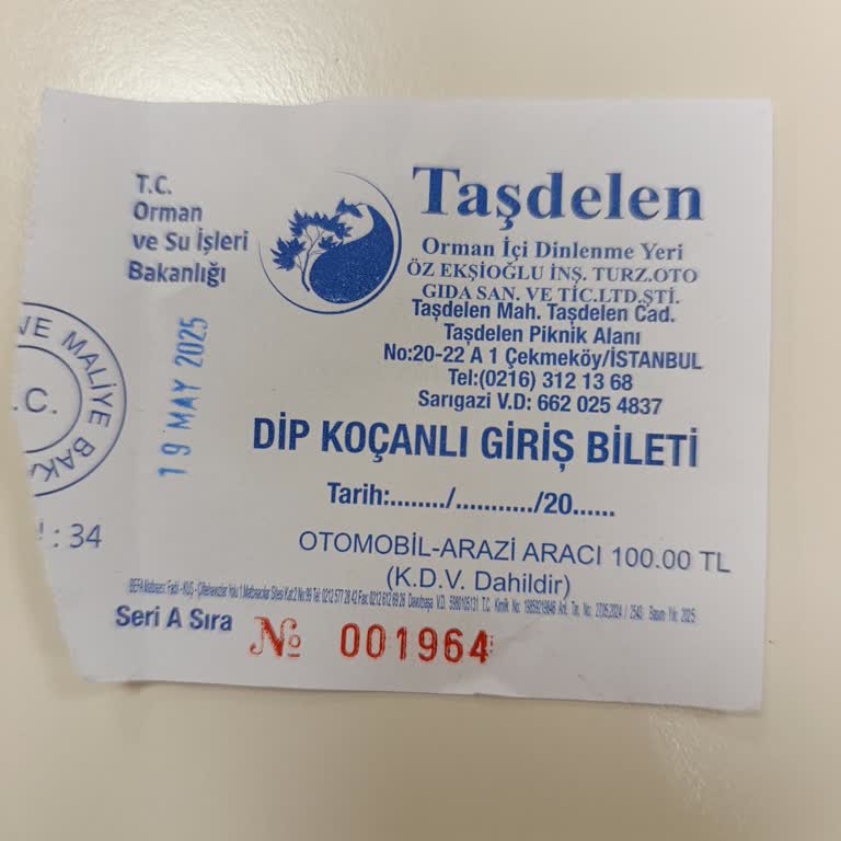 Bakım Eksikliği Ve Sağlıksız Koşullar Nedeniyle Kötü Piknik Deneyimi