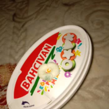 Küflü Peynir Yüzünden Çocuğum Peynir Yemekten Soğudu