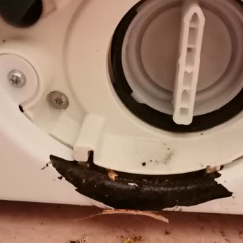 Bosch Çamaşır Makinesinde Küf Ve Kalite Sorunu!