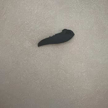 Bosch Çamaşır Makinesi İç Lastik Arızası Ve Servis Ücret Talebi