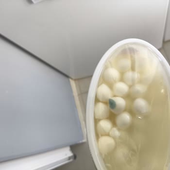 Bozuk Ürün Ve İlgisiz Müşteri Hizmetleri: Migros Hemen Hayal Kırıklığı